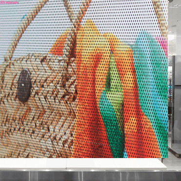 Vynil microperforé par Trôneprint